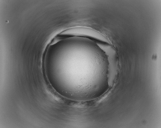 X0000092030148200709201619