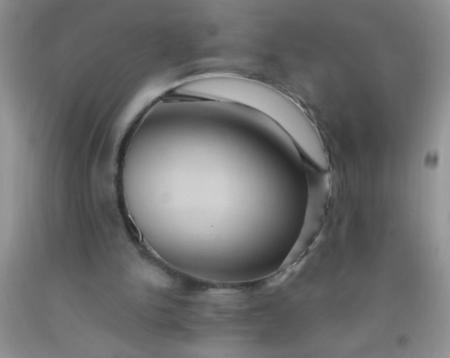 X0000092030150200709201619