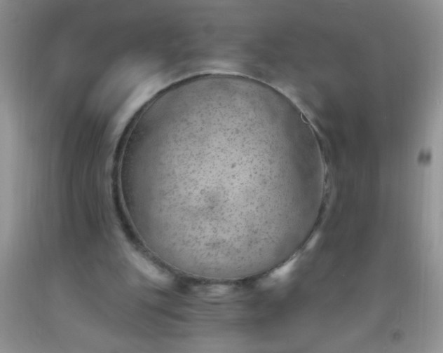 X0000092030151200709201619