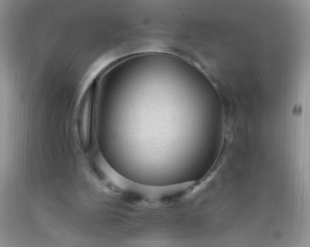 X0000092030152200709201619