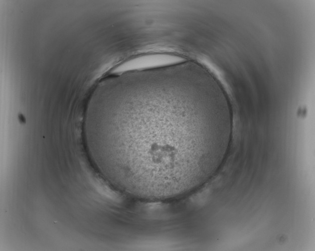 X0000092030153200709201619