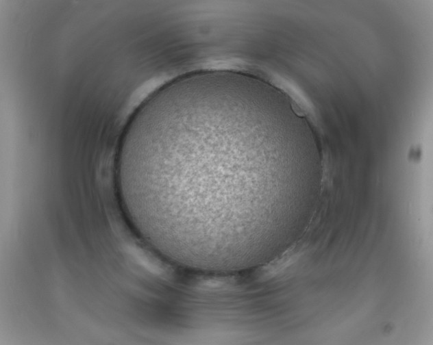 X0000092030155200709201619