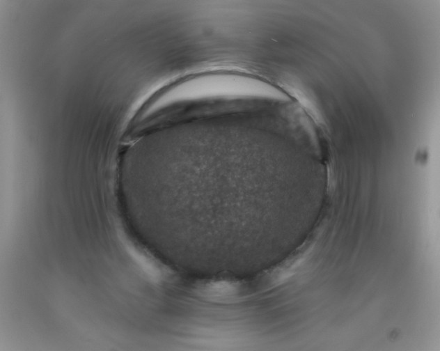 X0000092030156200709201619