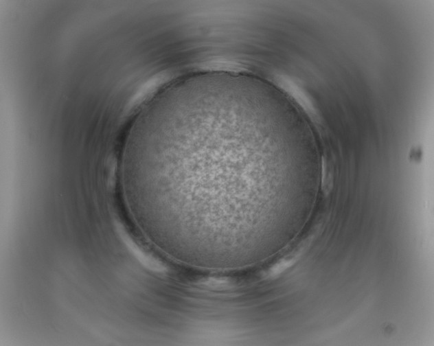 X0000092030157200709201619