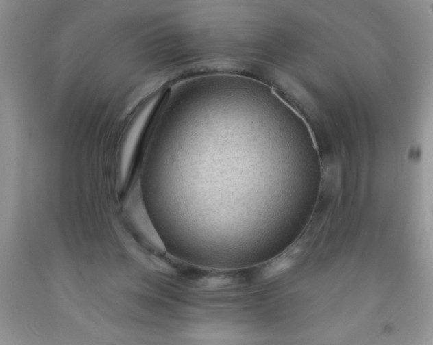 X0000092030158200709201619