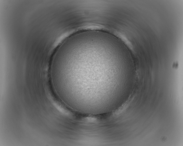 X0000092030159200709201619