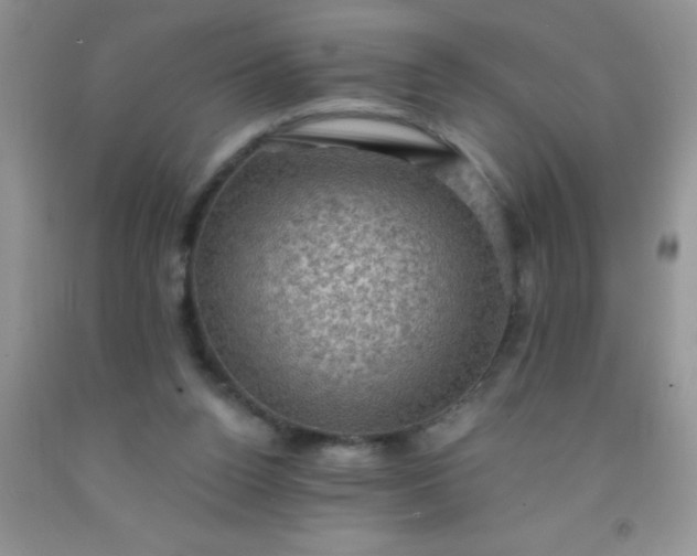 X0000092030160200709201619