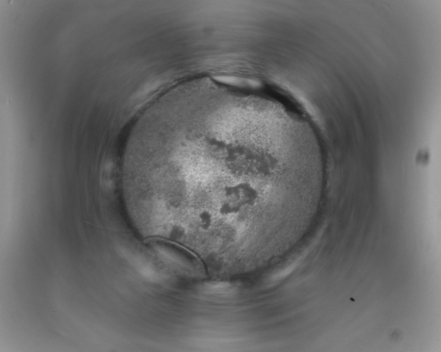 X0000092030161200709201619