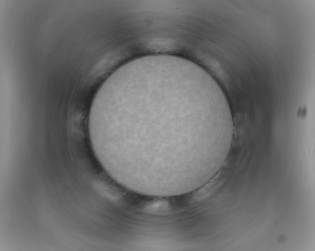 X0000092030162200709201619