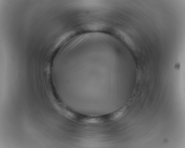 X0000092030163200709201619