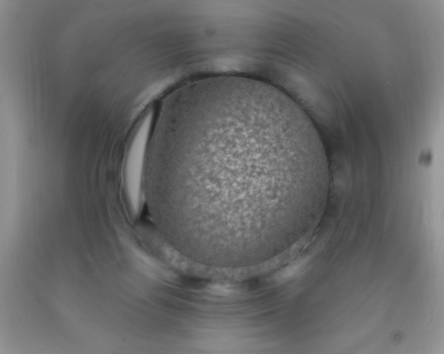 X0000092030164200709201619