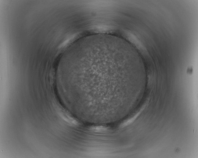 X0000092030165200709201619