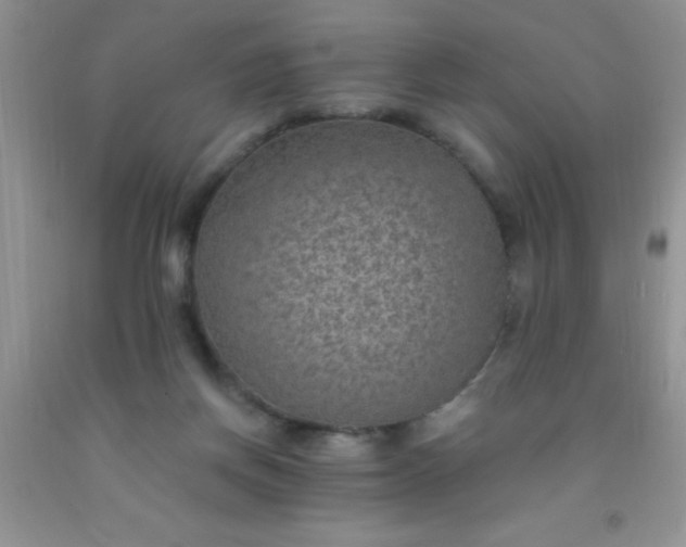 X0000092030166200709201619