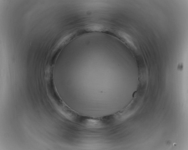 X0000092030167200709201619