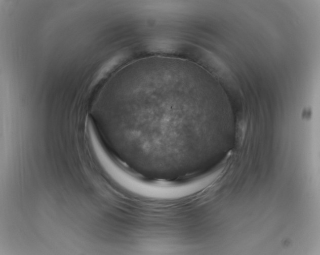 X0000092030168200709201619