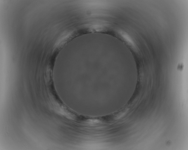 X0000092030169200709201619