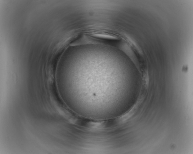 X0000092030170200709201619