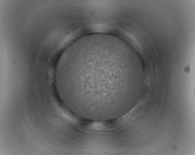 X0000092030171200709201619