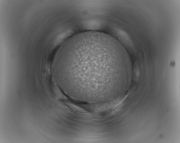 X0000092030172200709201619