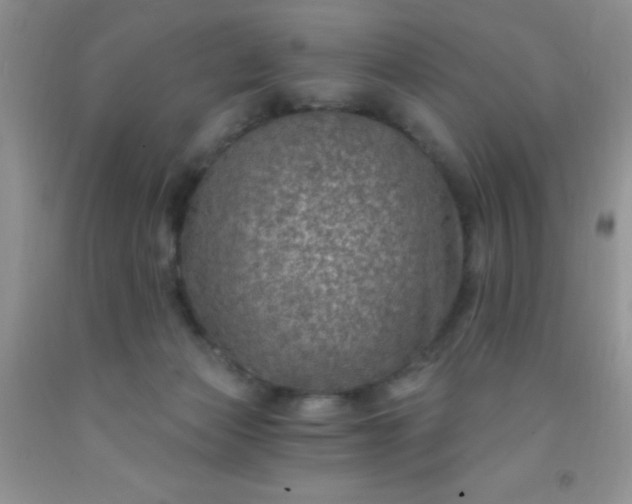 X0000092030173200709201619