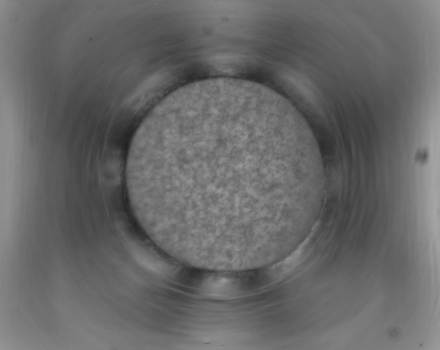 X0000092030174200709201619