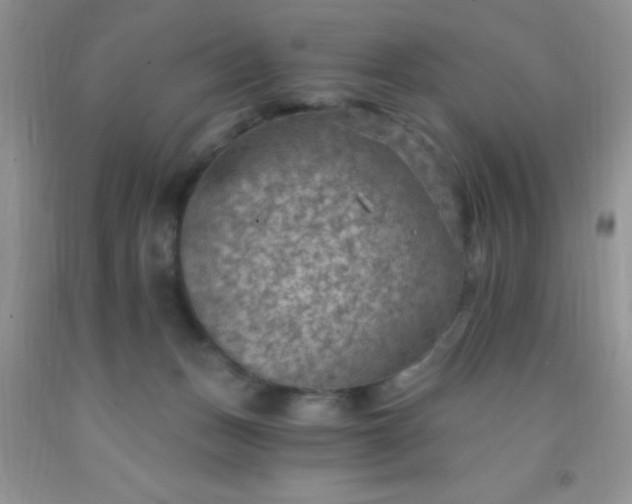 X0000092030175200709201619