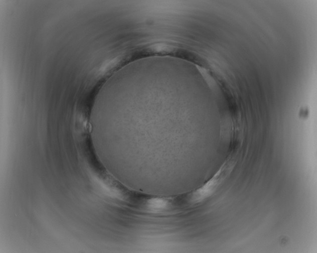 X0000092030176200709201619