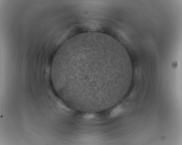 X0000092030177200709201619