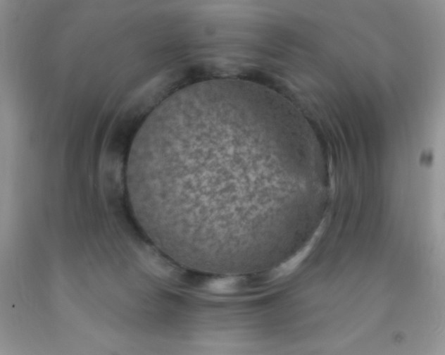 X0000092030178200709201619