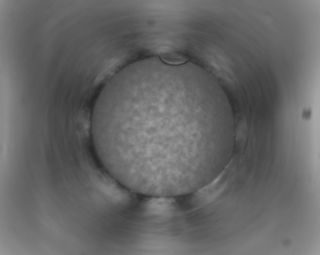 X0000092030179200709201619