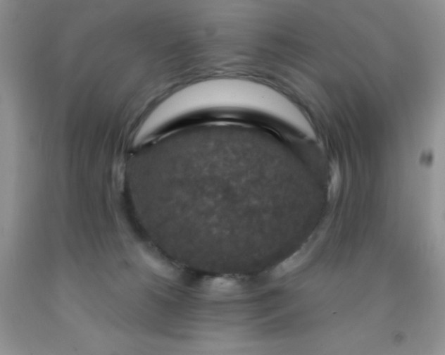 X0000092030180200709201619