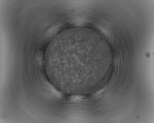 X0000092030181200709201619