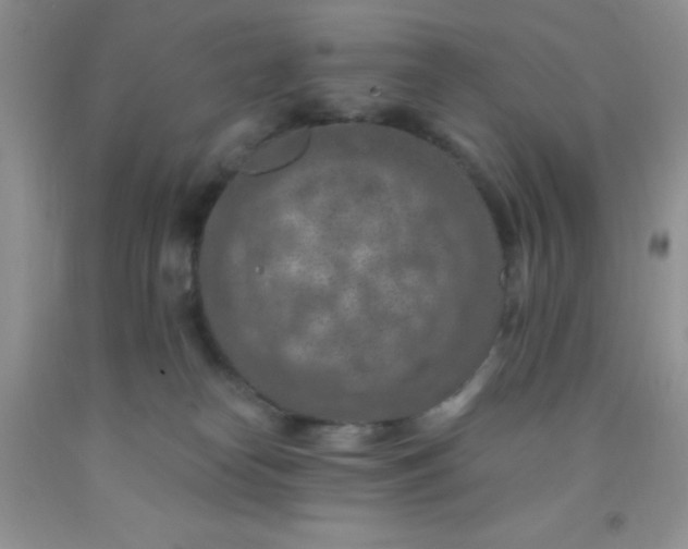 X0000092030182200709201619