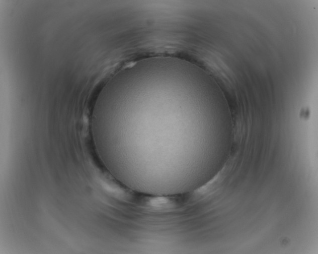 X0000092030183200709201619