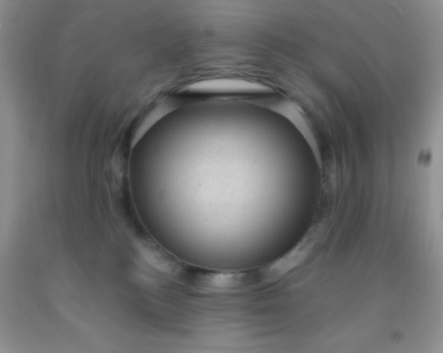 X0000092030184200709201619