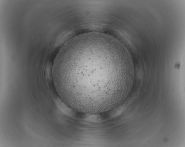 X0000092030185200709201619