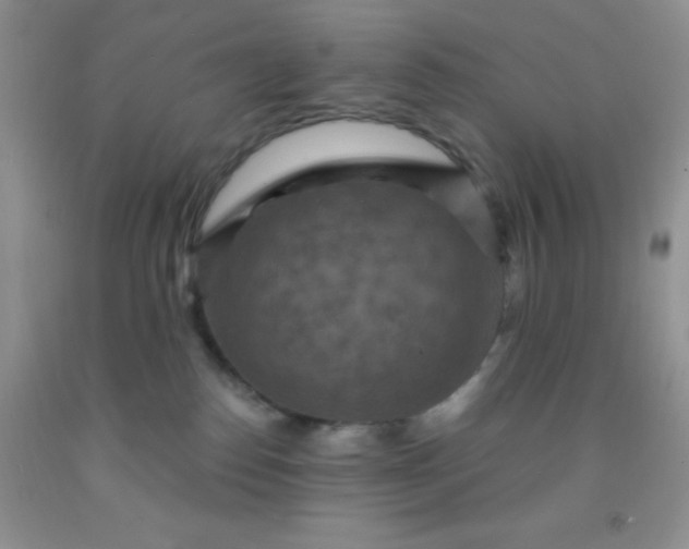 X0000092030186200709201619