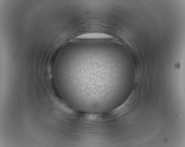 X0000092030187200709201619