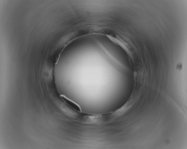 X0000092030188200709201619