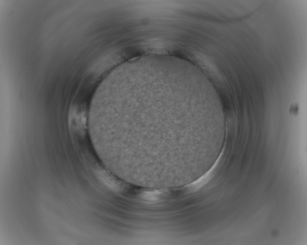 X0000092030190200709201619