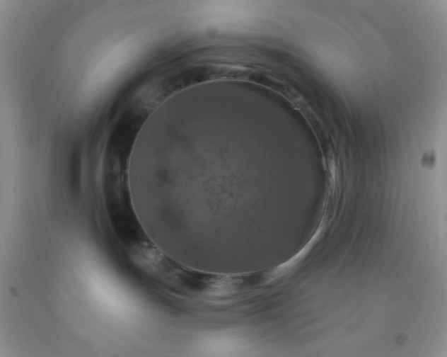 X0000092030191200709201619