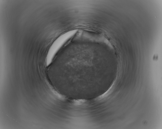 X0000092030192200709201619