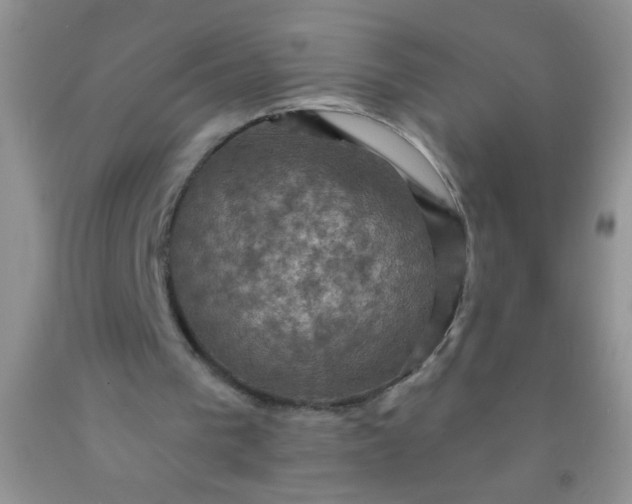 X0000092030193200709201619