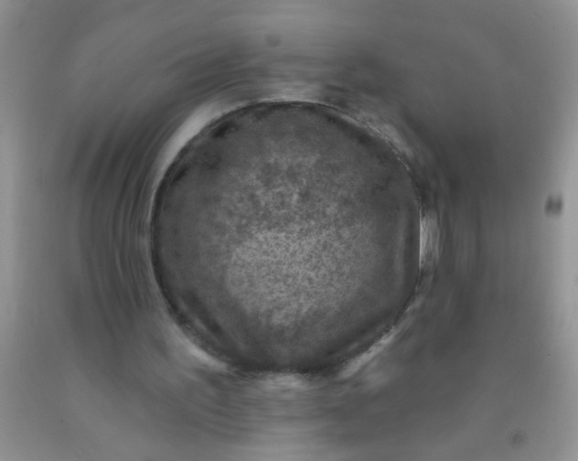 X0000092030195200709201619