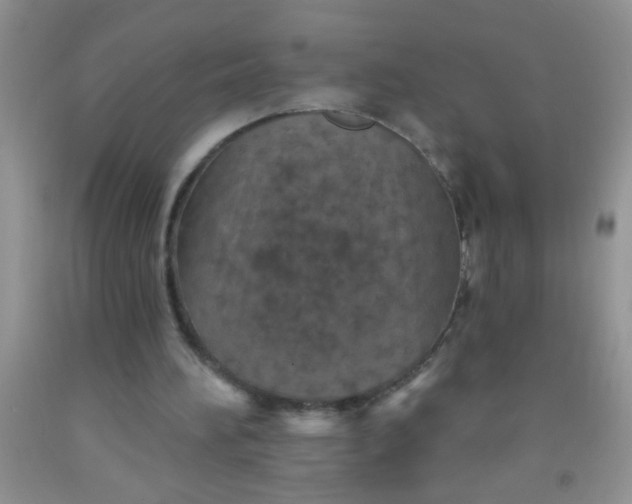 X0000092030196200709201619