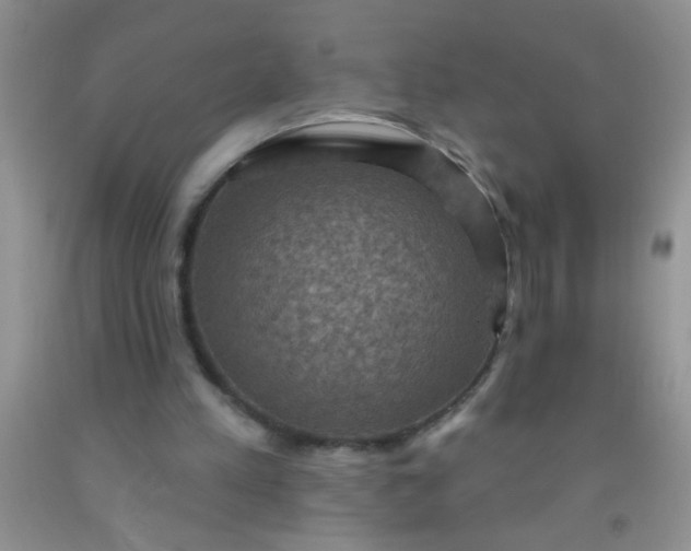 X0000092030197200709201619