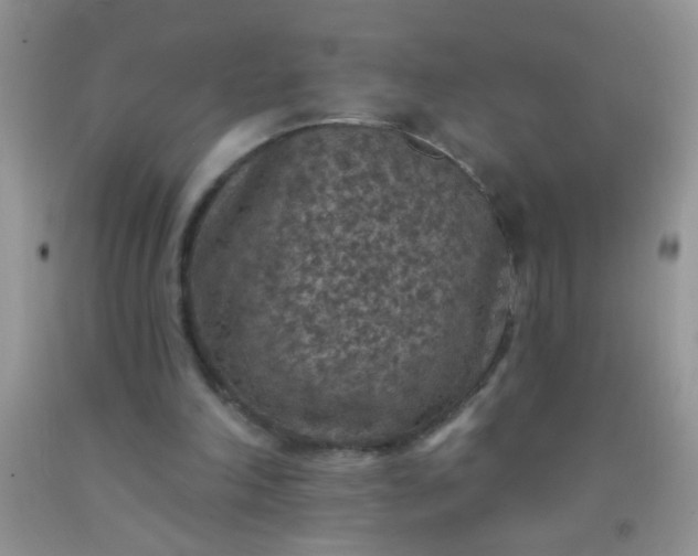 X0000092030198200709201619