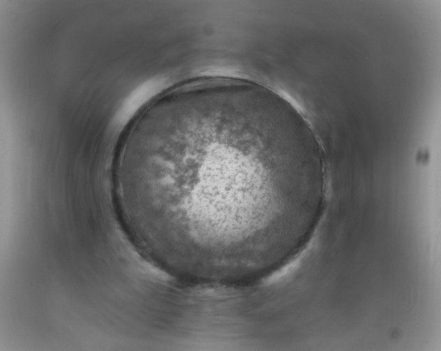 X0000092030199200709201619