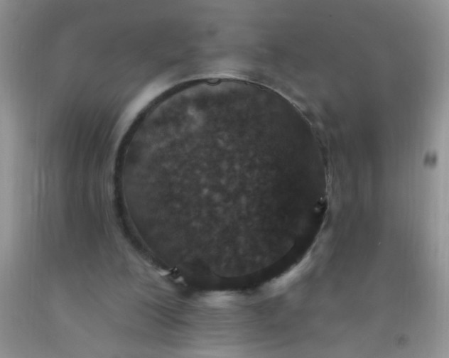 X0000092030200200709201619