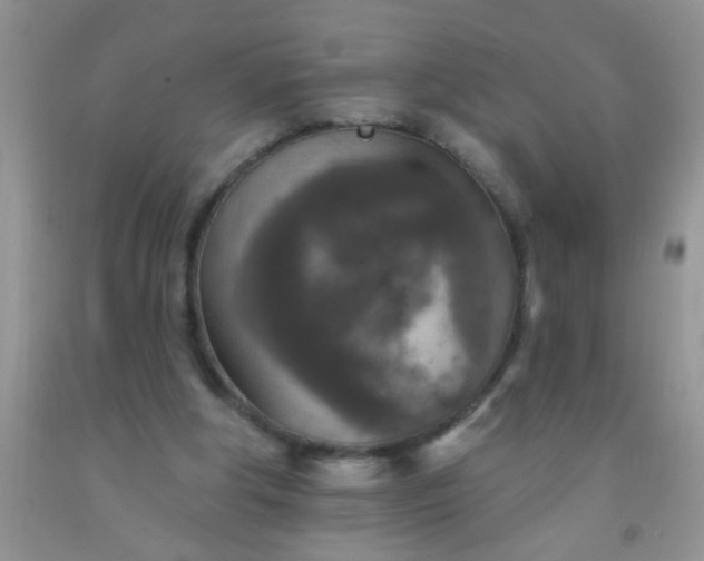 X0000092030202200709201619